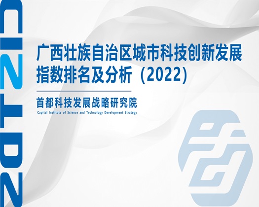 就要操逼就要日【成果发布】广西壮族自治区城市科技创新发展指数排名及分析（2022）